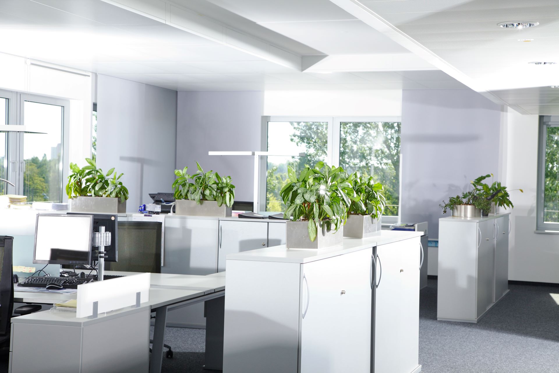 Resume Writing Services Berkeley NSW